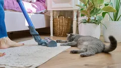 5 consigli per mantenere l'ordine in casa senza troppa fatica