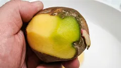 Patate verdi: si possono mangiare e perché diventano così?