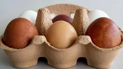 3 modi per capire se le uova nel frigorifero sono già andate a male: è più facile di quanto sembri