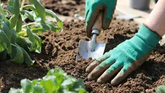 Come recuperare un terreno impoverito in giardino: metodi collaudati per ripristinare la fertilità