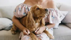 I cani amano più profondamente di quanto pensi: segnali che dicono più di mille parole