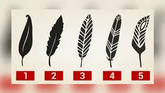 La prima piuma che sceglierai dirà della tua personalità più di quanto farebbe uno psicologo