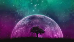 13 giorni di fortuna finanziaria: calendario lunare per marzo 2026