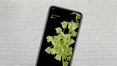 Sul display del telefono è improvvisamente apparso un puntino verde: c'è motivo di preoccuparsi?