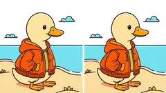 Rompicapo: riesci a trovare 3 differenze nell'immagine di un'anatra con la giacca in 36 secondi?