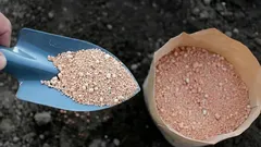 Consigli dei giardinieri: questa polvere naturale eliminerà i parassiti e renderà il terreno ideale